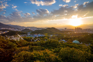 국내 여행지 추천 대구 가볼 만한 곳