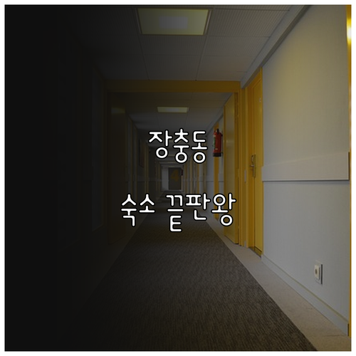미스트롯4 콘서트 방문 시 이용하기 ..