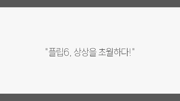 플립6 사용기 및 리뷰