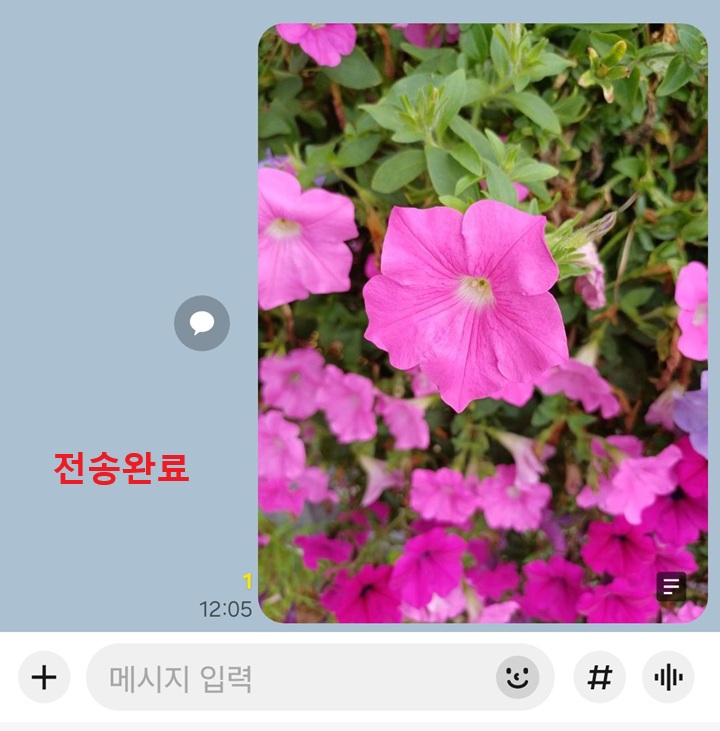 채팅방에 사진 보임