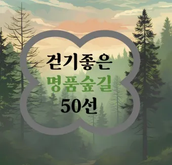 걷기좋은 숲길 50 서울 전남 경북_9