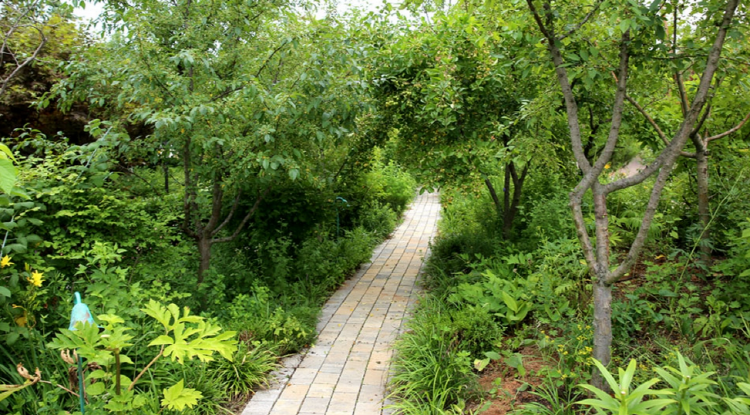 파주 퍼스트가든