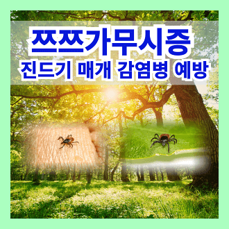 쯔쯔가무시증 진드기 매개 감염병 예방수칙