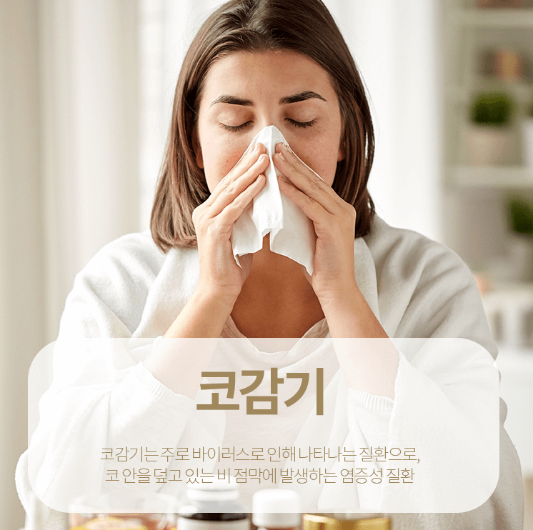 코-감기-증상