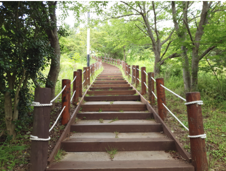 제주 여행 2박3일 추천 코스(자유여행)