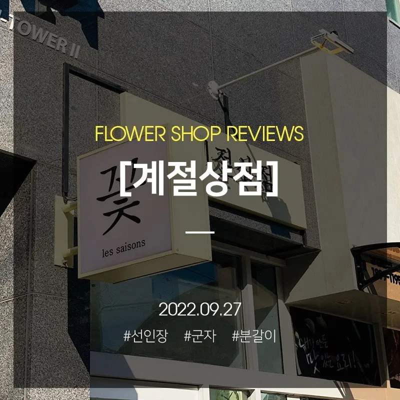 미니 선인장 키우기 물주기 통풍관리 창가배치 귀여운 관리법_3