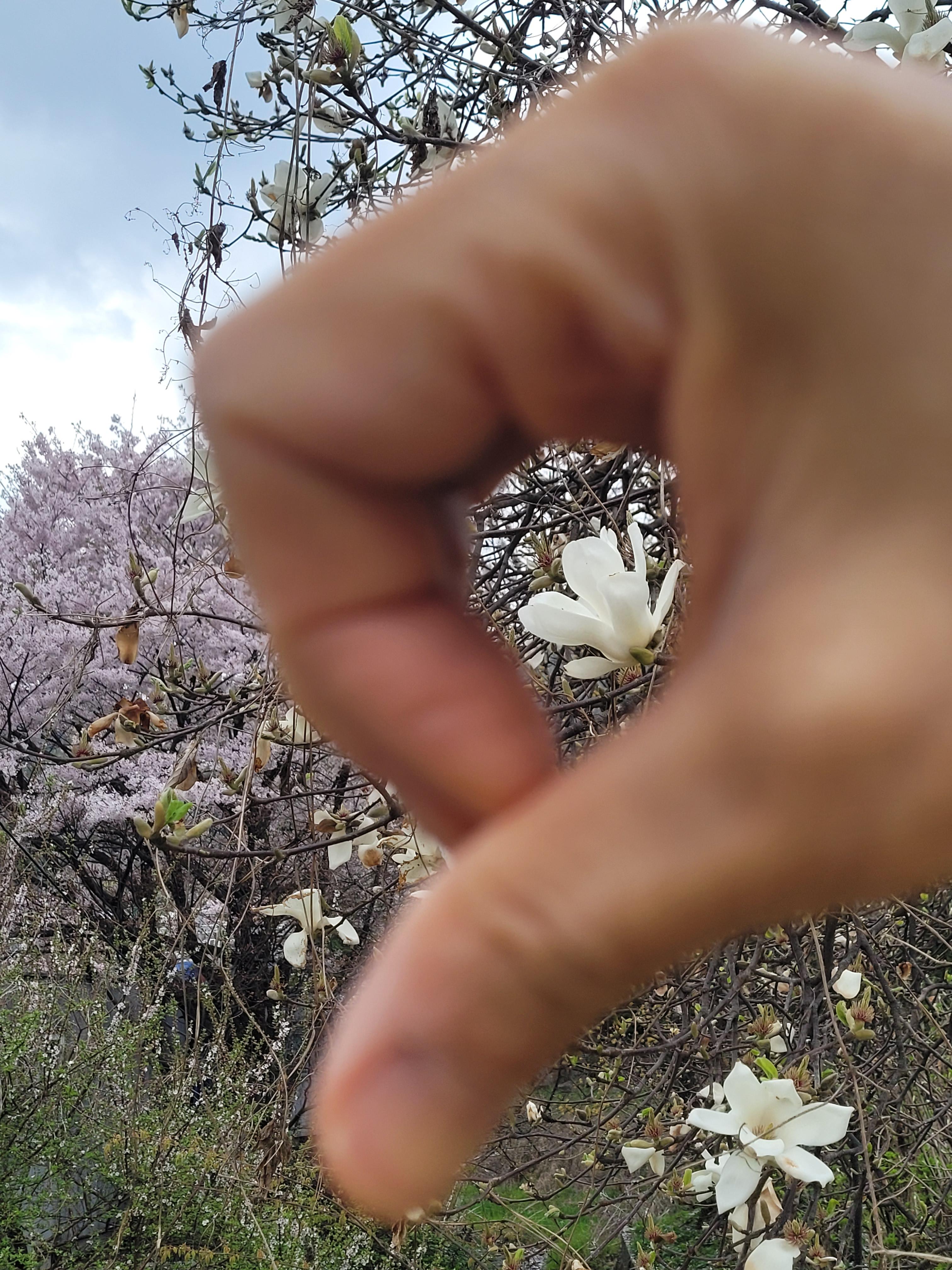 당신의 한 표가 세상을 바꿉니다. 투표에 꼭 참여해주시기바랍니다.