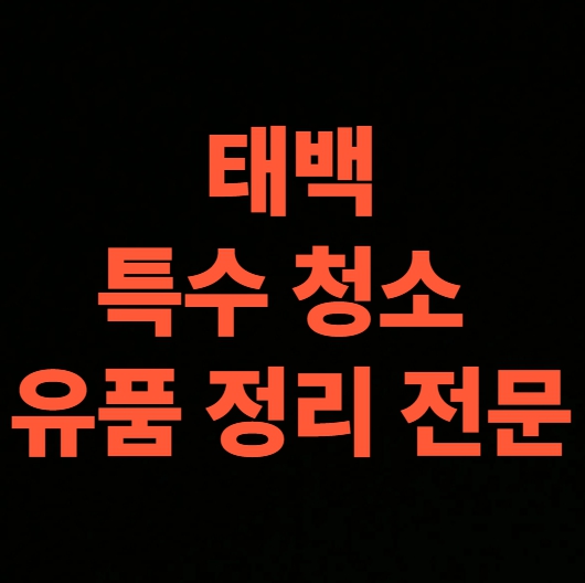 태백 고독사청소 업체