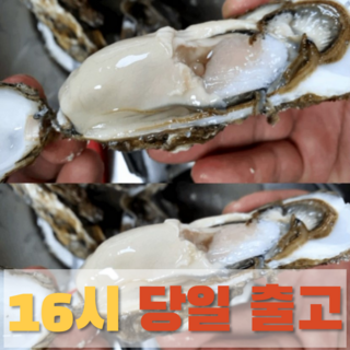 석화 추천