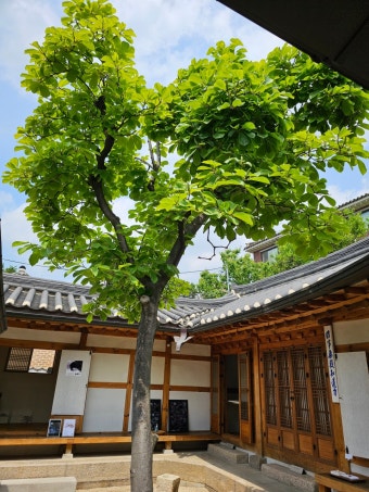 서울 공공한옥 밤마실 떠날거夜 야간개방