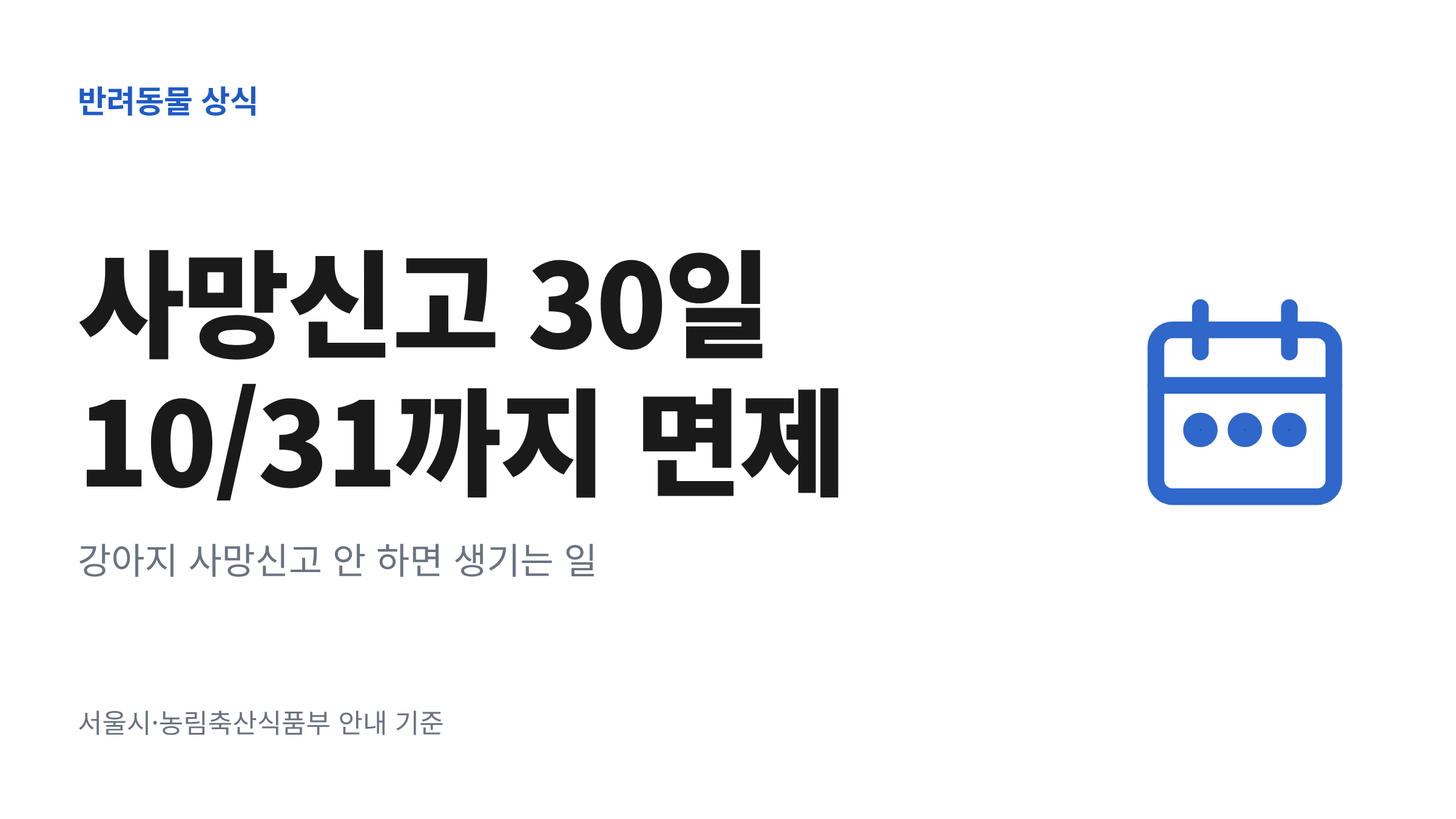 강아지 사망신고 안 하면 과태료가 부과될 수 있다는 내용과 30일 기한을 정리한 대표 이미지