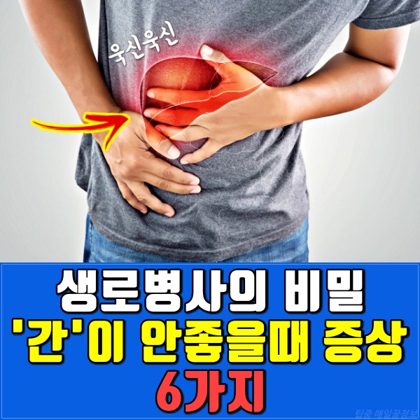 간이 안좋을때 나타나는 증상, 간암 간경화 지방간 증상, 건강, 팁줌 매일꿀정보