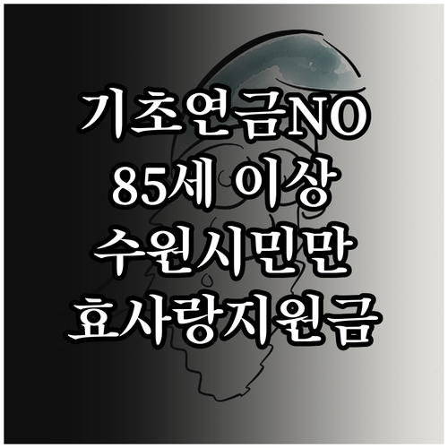 기초연금 못 받는 만 85세 이상 수..