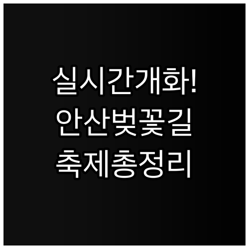 서대문구 안산 자락길 벚꽃 개화 현황..