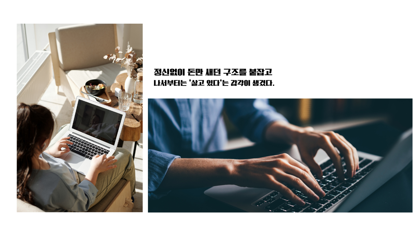 아이 셋 엄마가 만든 최소 생존 금융 구조