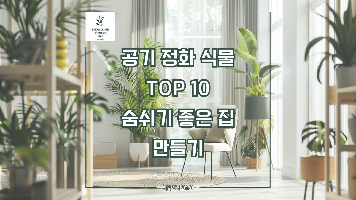 공기 정화 식물 Top10, 숨쉬기 좋은 집 만들기