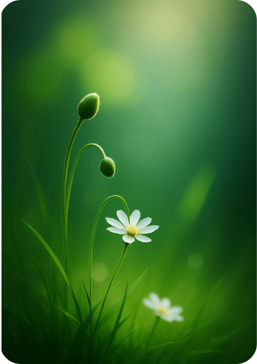 나는 해낼 수 있다는 믿음 – 자기 효능감 키우기 : 코시팅(KST)