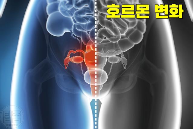 입이 마르는 이유, 폐경기 호르몬 변화, 팁줌