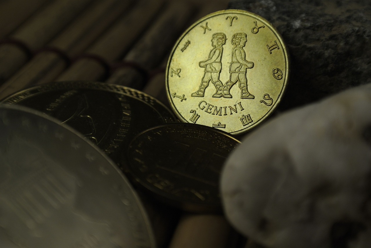 신체가 두 개? 실제로 존재하는 '기생 쌍둥이' 사례