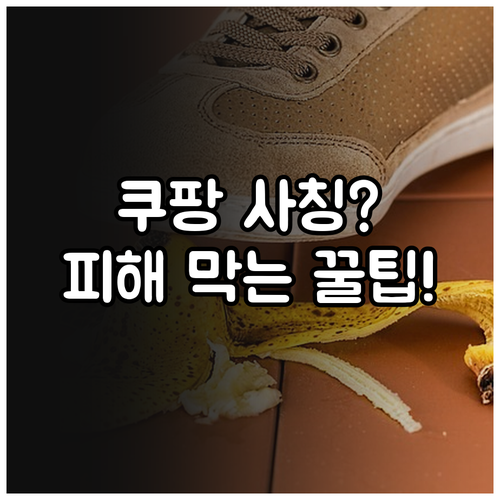 쿠팡 배송지연 보상 사칭 스미싱 특징..