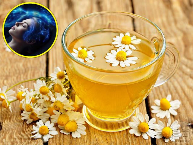 수면장애 치료 좋은 차 천연 수면유도제 추천 카모마일차