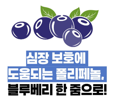 블루베리 효능 부작용