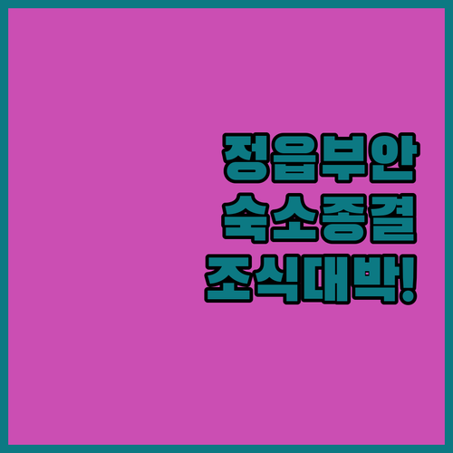 정읍역 근처 가성비 숙소부터 부안 조..