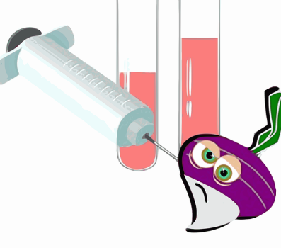 철분의 빈혈 예방과 피로 개선 효과