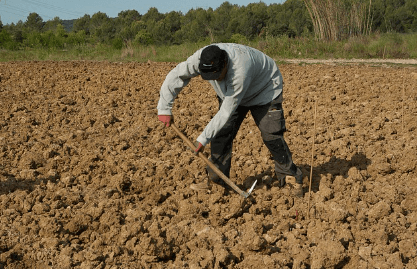 2024 임업직불금 신청자격 신청방법과 관련된 작물을 관리하는 임업인 사진
