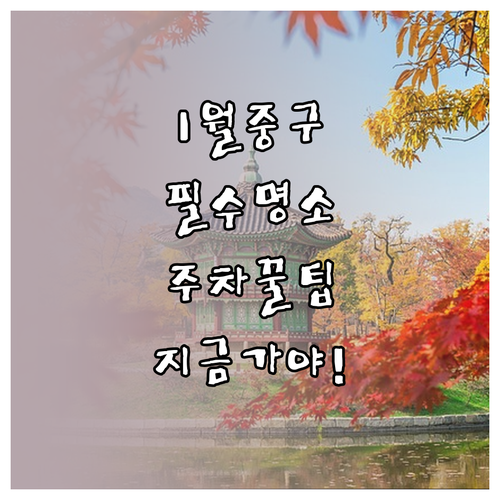 1월 서울 중구 가볼만한곳 명소 5곳..