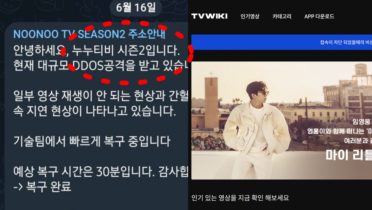 누누티비 시즌2 서비스 종료 운영자 티비위키 티비착 동일 인물 처벌 우회 텔레그램