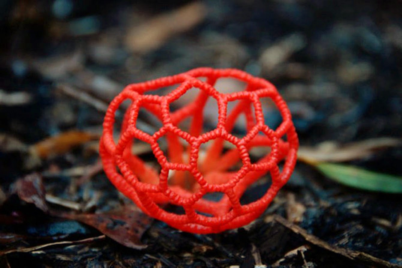 Clathrus (바구니버섯)