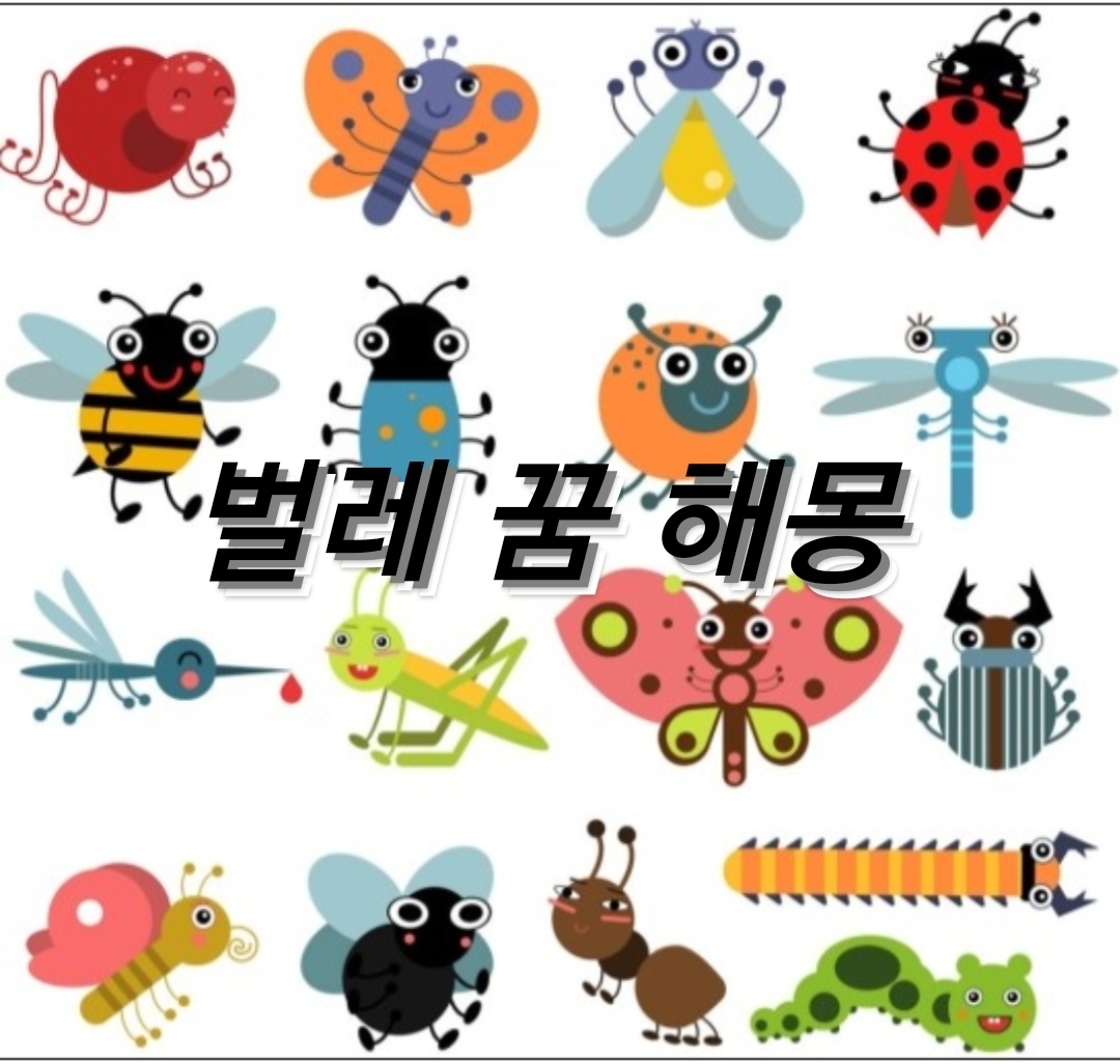 벌레 꿈 해몽