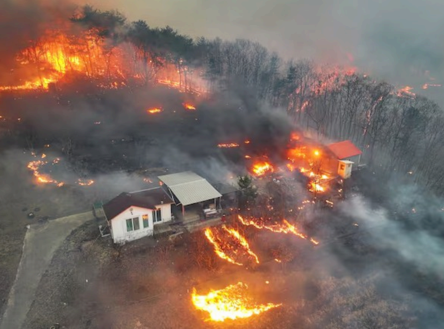 의성 산불 피해자 주택 피해 복구 지원금 총정리 (최대 1,000만 원)