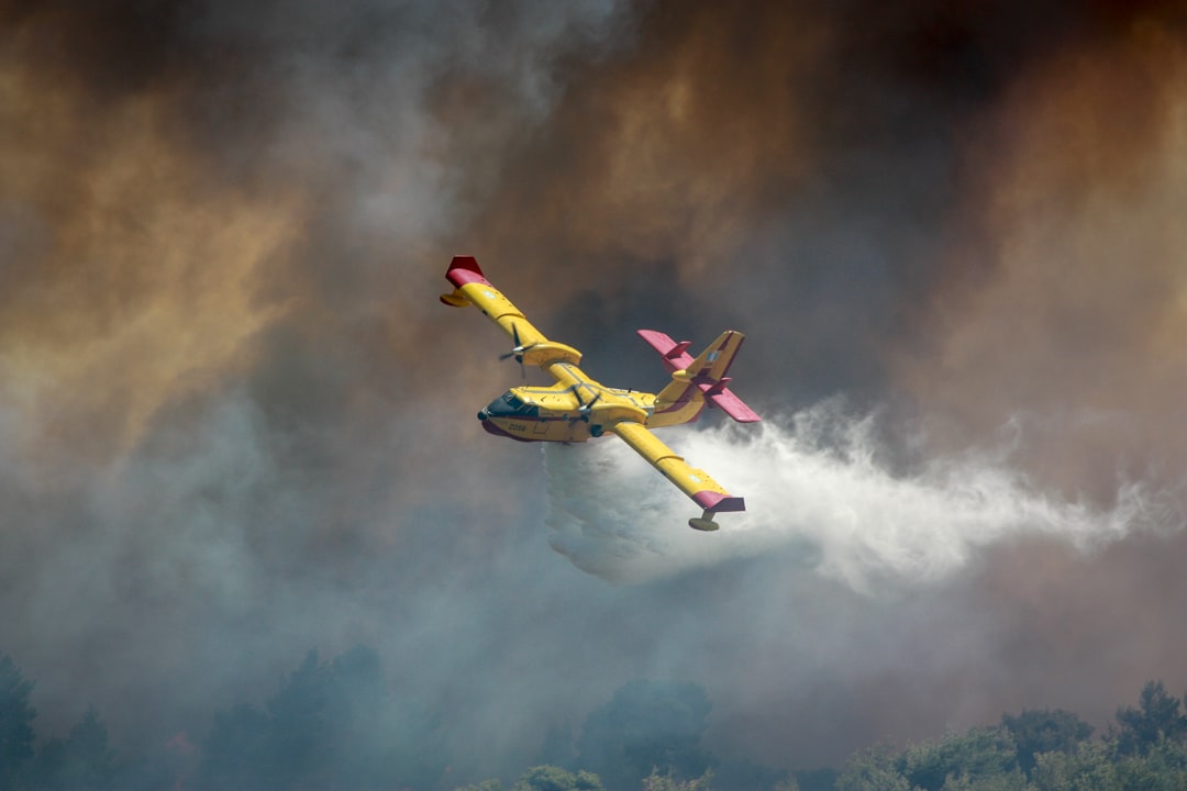 Wildfire