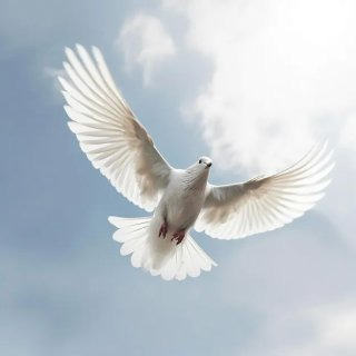 피스 메이커 뜻