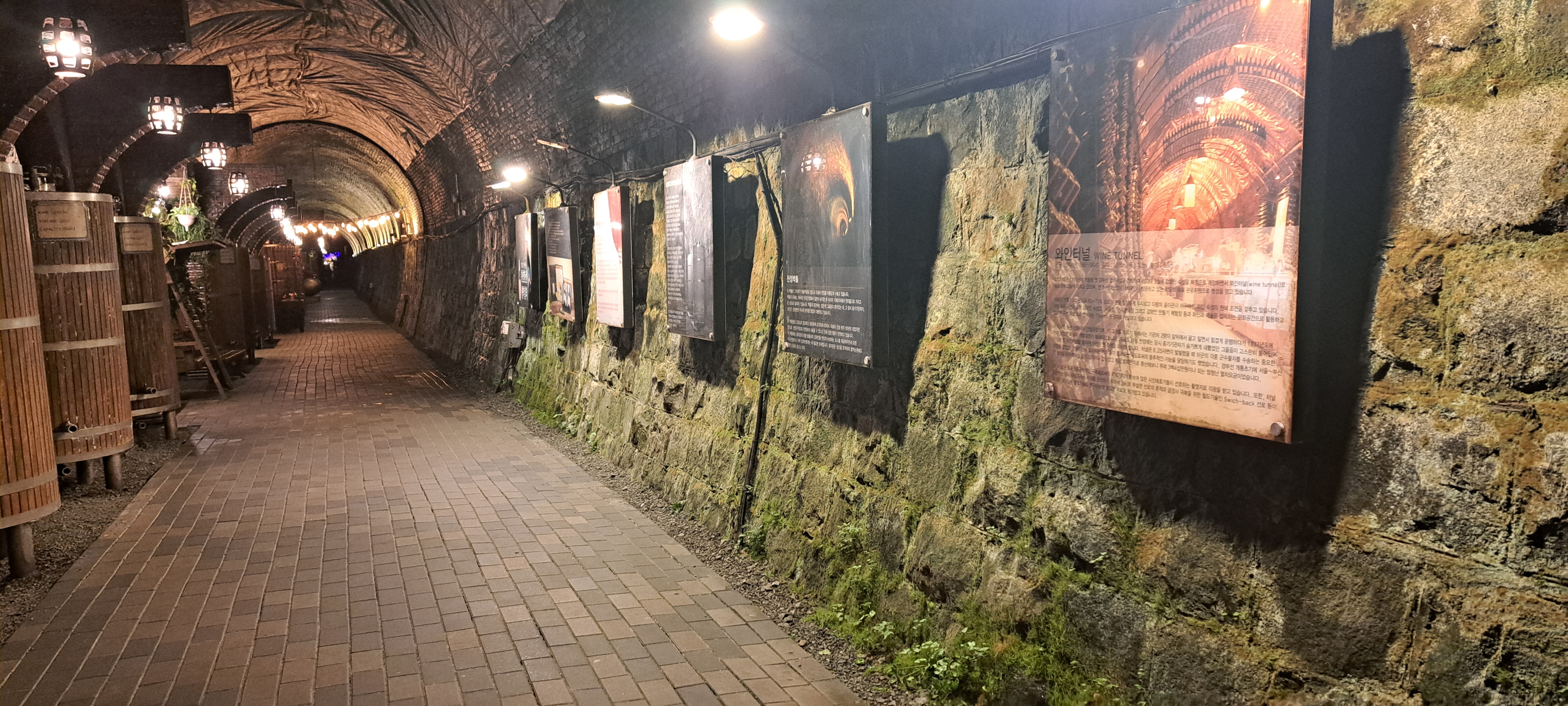 청도 와인터널 이미지