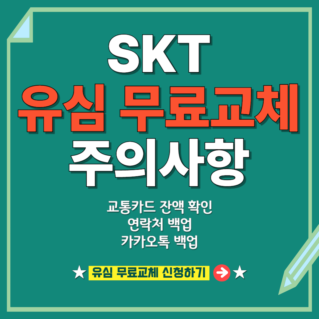 "SKT 유심 무표교체 주의사항"