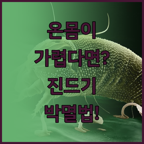 환절기 피부 가려움증 해결하는 집먼지..