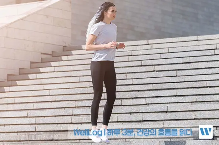 가르시니아 캄보지아 효능, 효과, 복용방법