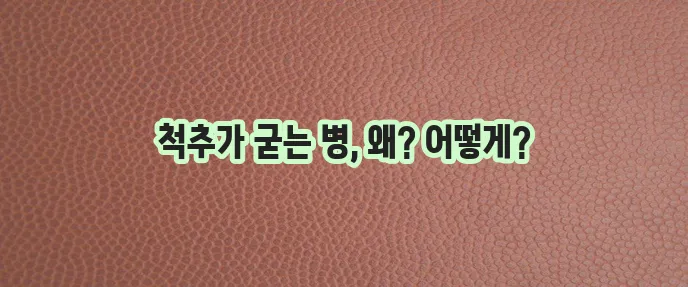 강직성 척추염 증상 원인 그리고 대처가 중요합니다