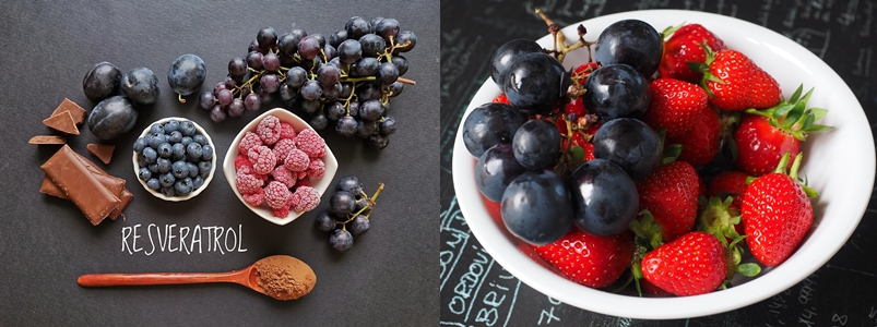 레스베라트롤이란