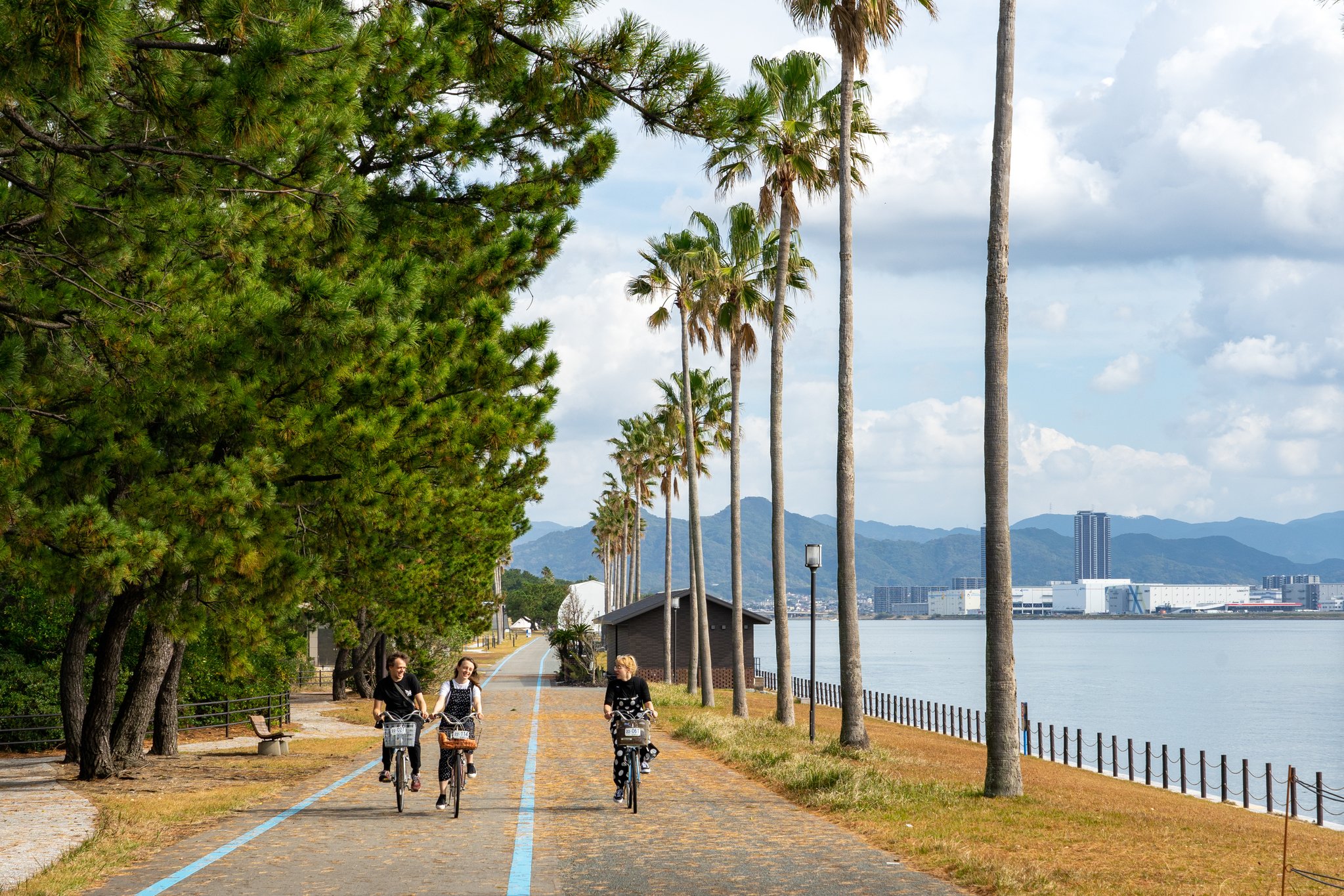 후쿠오카 벚꽃 명소