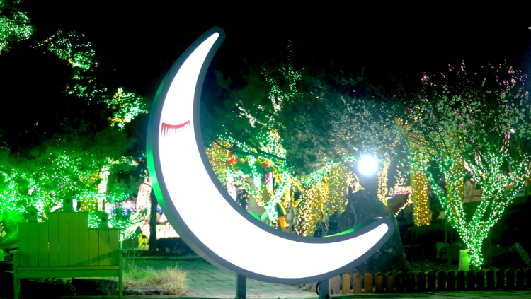 안산 별빛마을 별빛축제