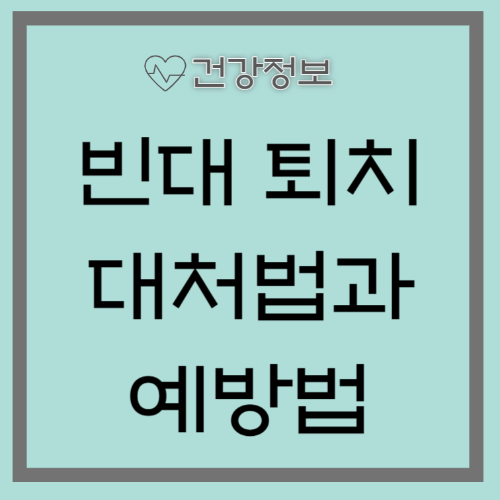 빈대 퇴치&#44; 빈대에 물렸을 때 대처법과 예방법