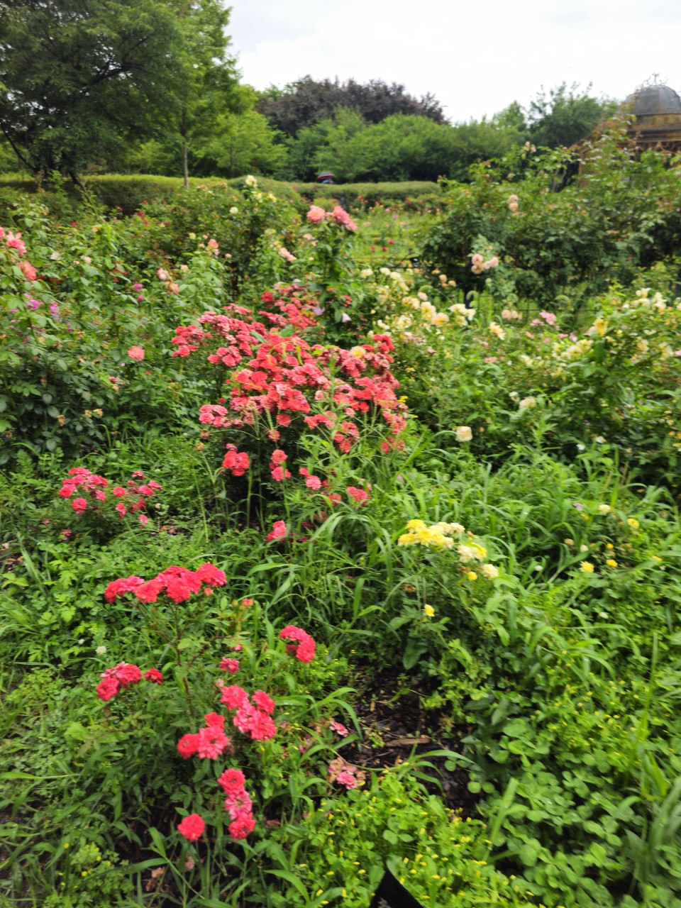 선진국 복지정책의 장단점 총정리
