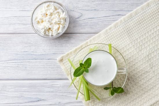 유산균의 종류와 선택방법