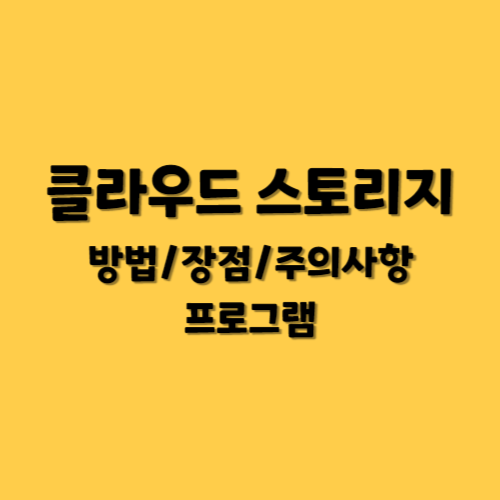 클라우드 스토리지 프로그램