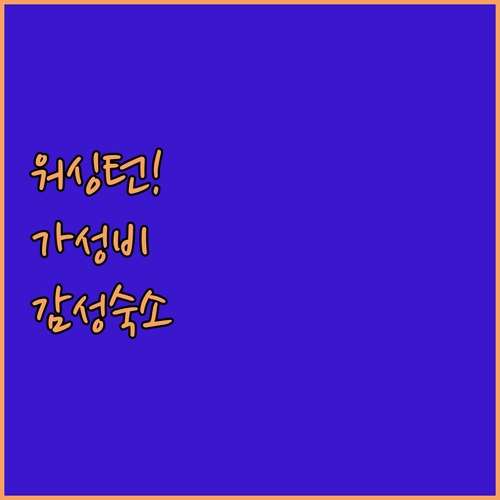 워싱턴 디씨 가성비 숙소부터 감성 호..