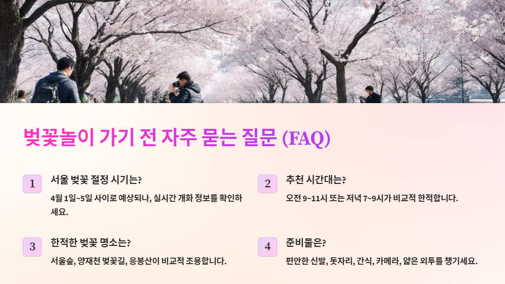 벚꽃놀이 가기 전 자주 묻는 질문 (FAQ)